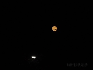 中秋の名月がやっと撮れました
