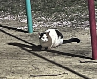 ʁ[