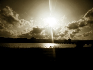 �C�s����