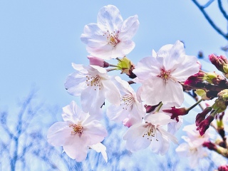 ���炢�Ă��Ă�