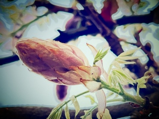 たくさん考える